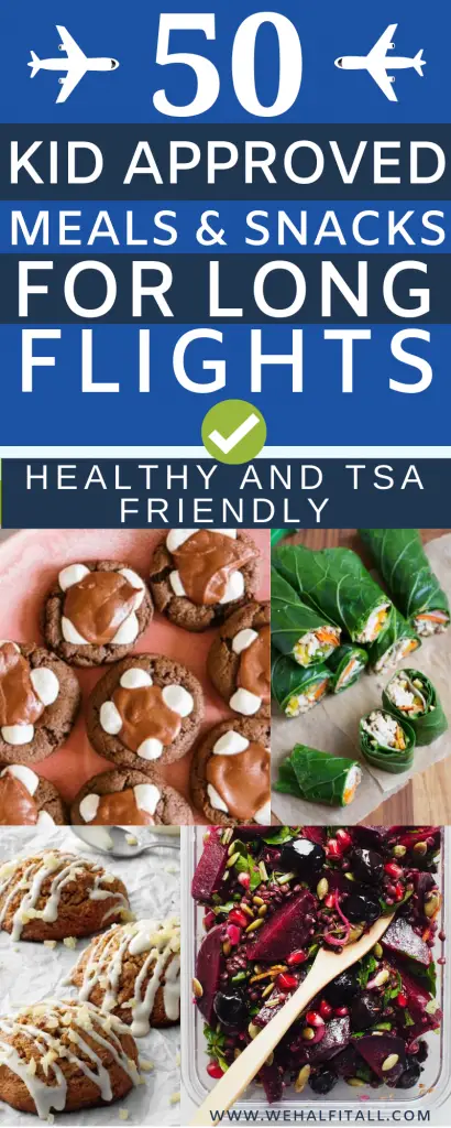 Airplane-meals-TSA-friendly-kid-friendly-snacks-and-meals-for-long-flights-meal-recipes-for-long-flights-airport-airplane-plane-meals-recipes-to-go