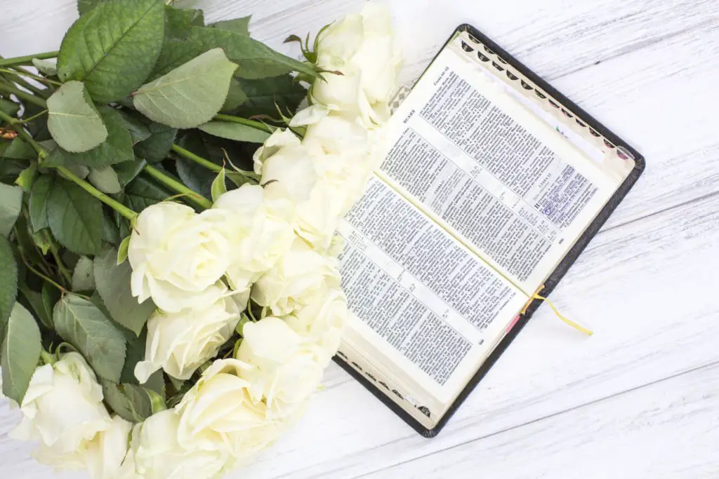 white-roses-bible-white-roses-bible-white-wooden-background