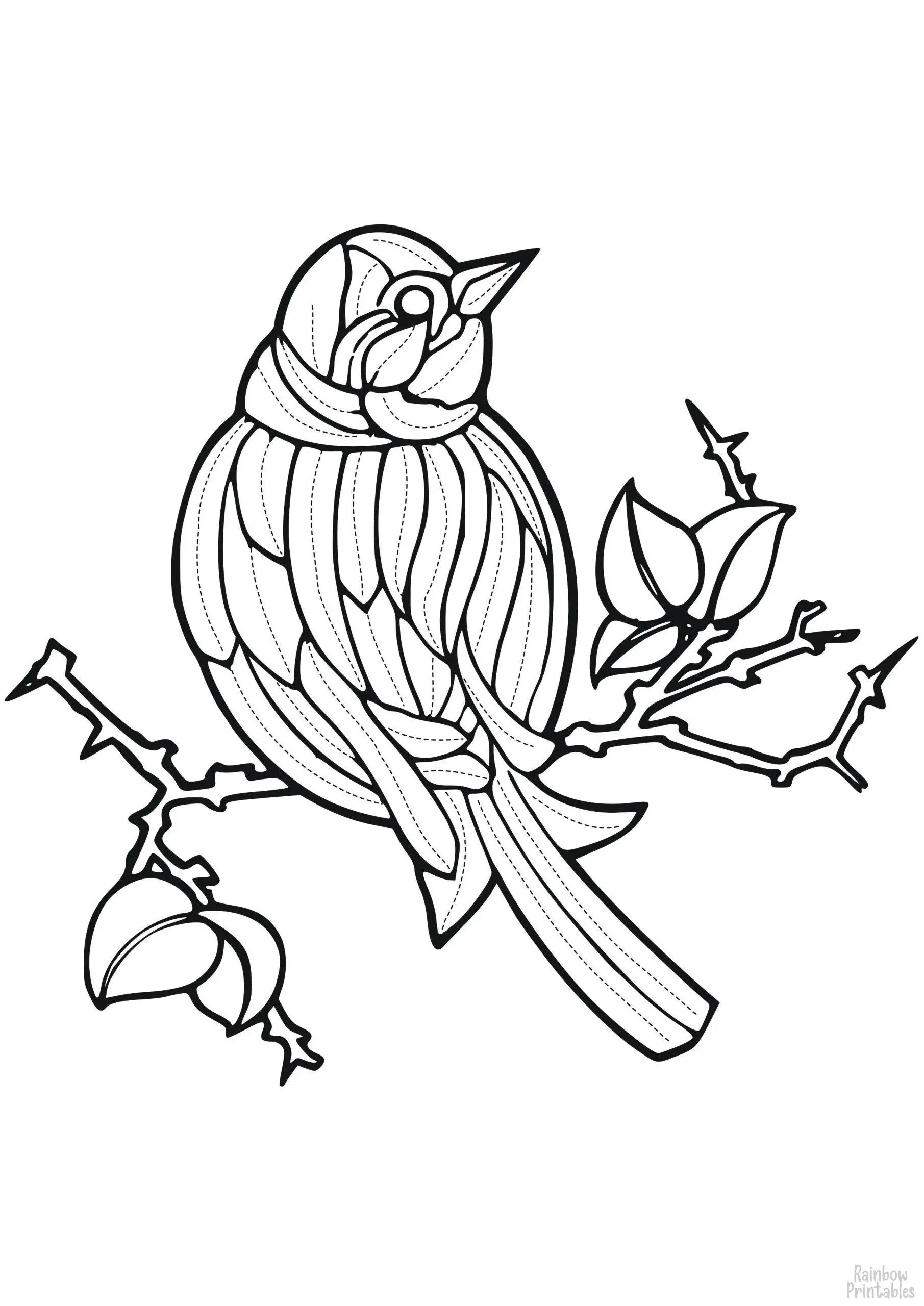Beautiful Bird on Branch Coloring Page