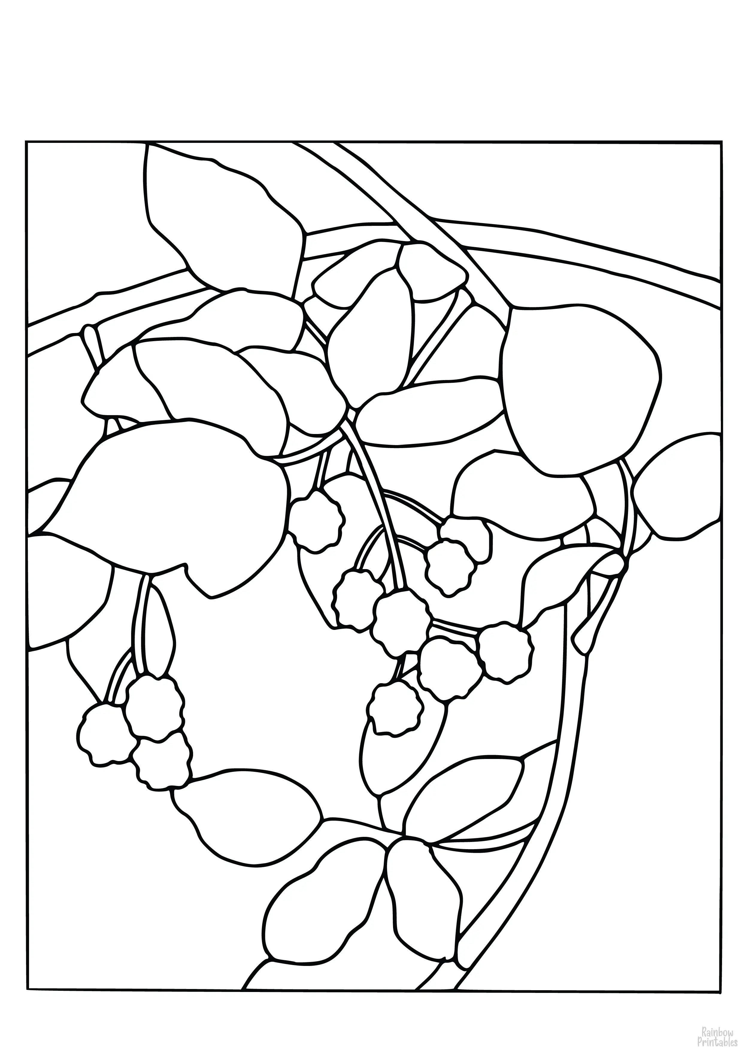 Stained GLASS Grape Vine Clipart Coloring Pages Line Art Drawings for Kids-01