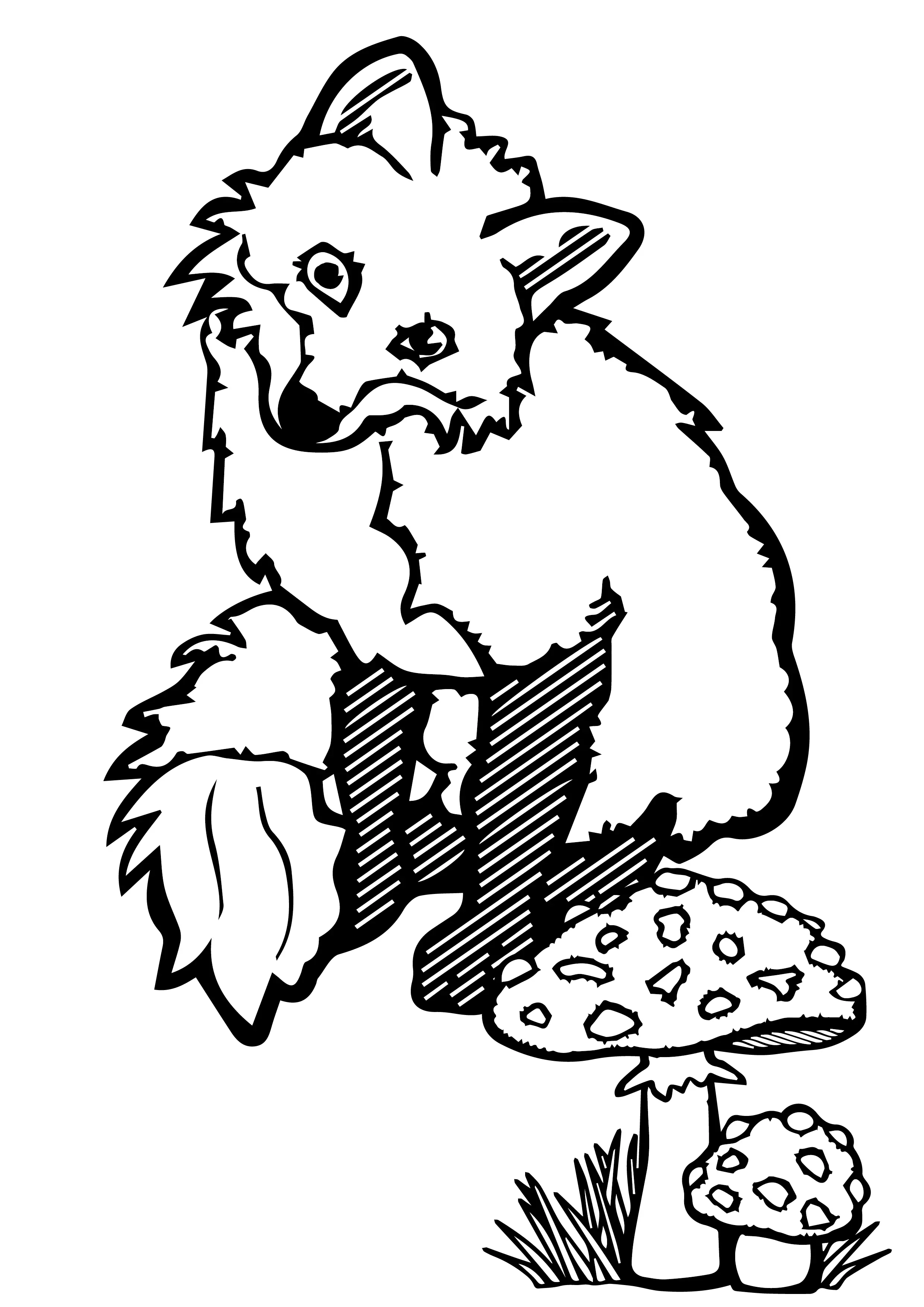 Fox Looking at Mushroom-Cartoon-Free-Clipart-Line-Drawing-coloring-page-Activity-For-Kids-02