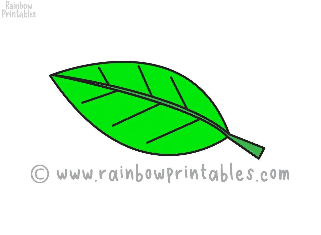 How To Draw a Cartoon Green LEAF (Step by Step for Beginners and Kids) -  Rainbow Printables