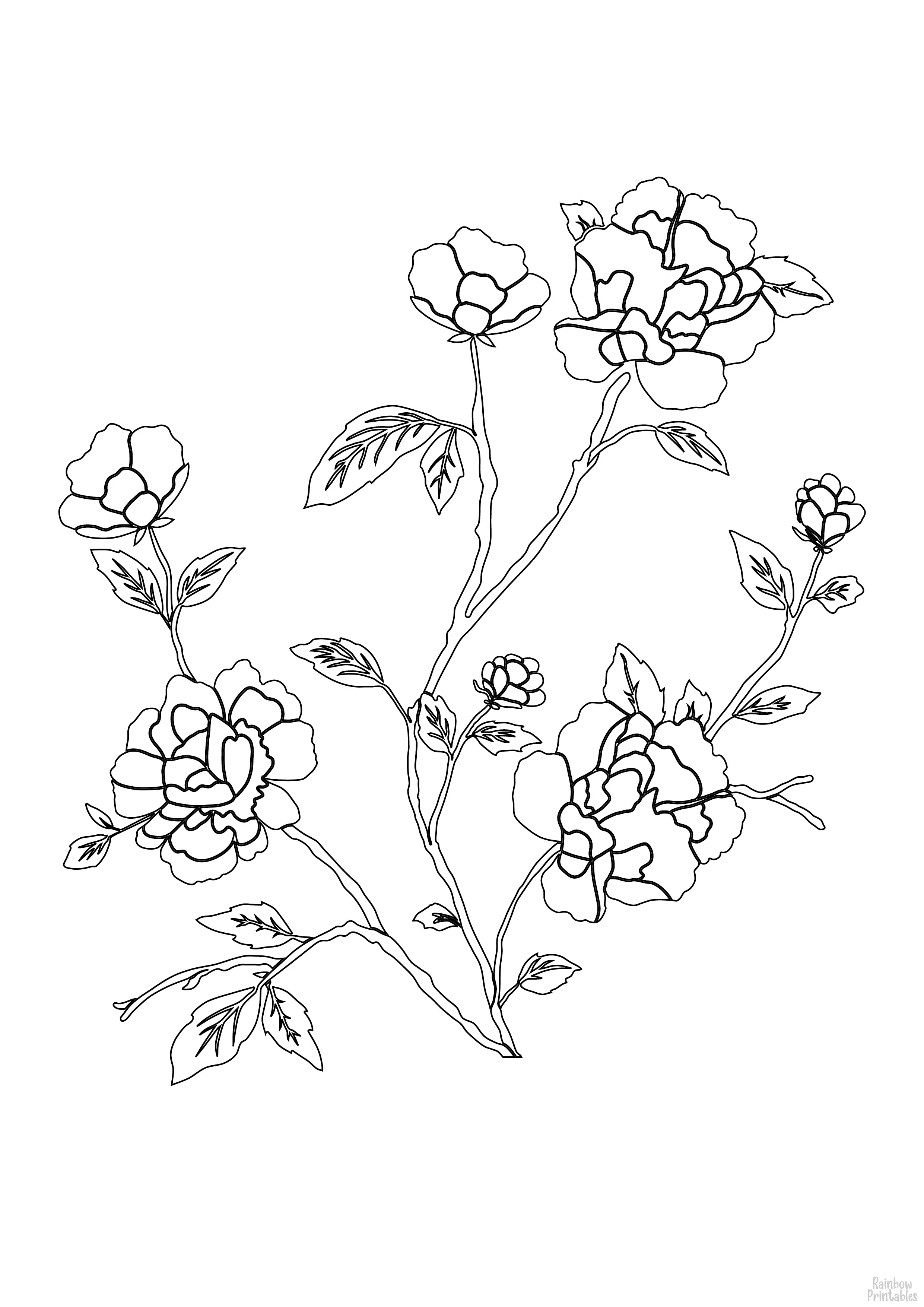 Line Drawing Rose Daisey Leaves Flower Floral Coloring Pages for Kids Art Project-
