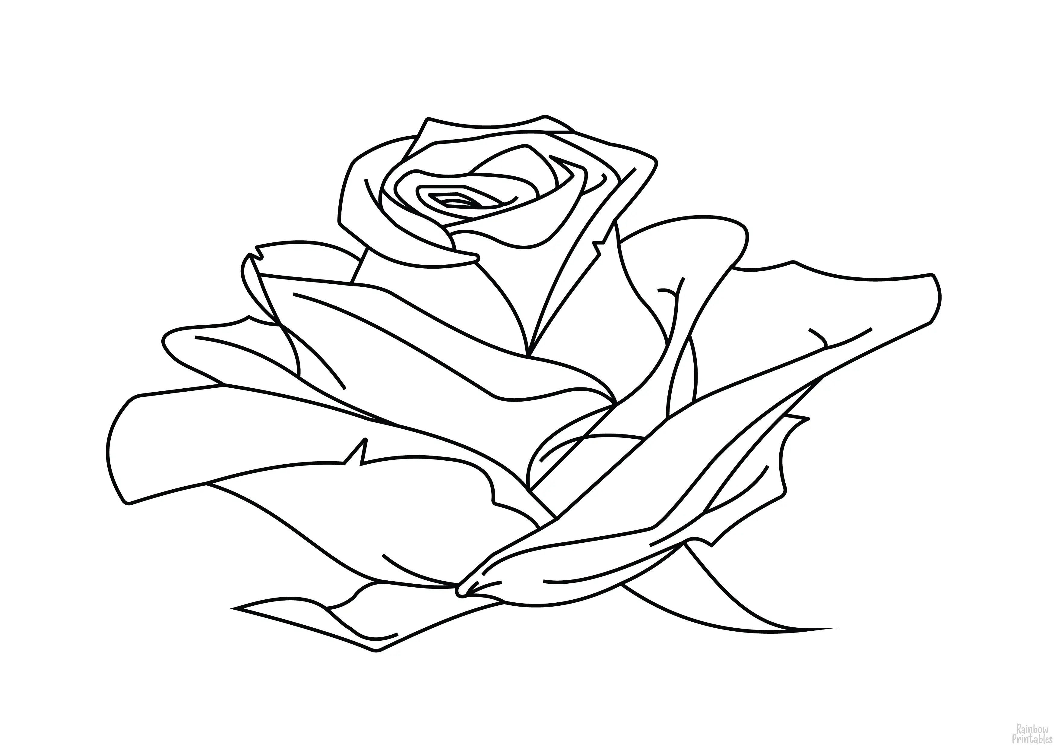 Line Drawing Rose Daisey Leaves Flower Floral Coloring Pages for Kids Art Project-26