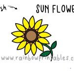 How To Draw a Sunflower 🌻 - Step by Step for Kids