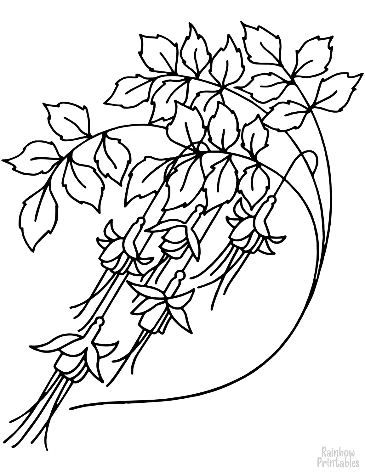 SIMPLE-EASY-line-drawings-BELLFLOWERS-coloring-page-for-kids Outline