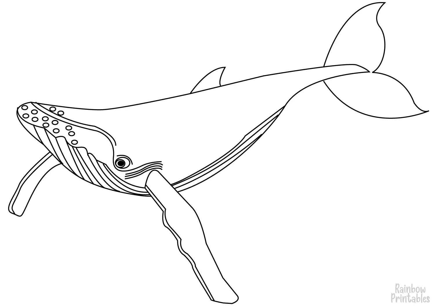 SIMPLE-EASY-line-drawings-WHALE-cartoon-coloring-page-for-kids