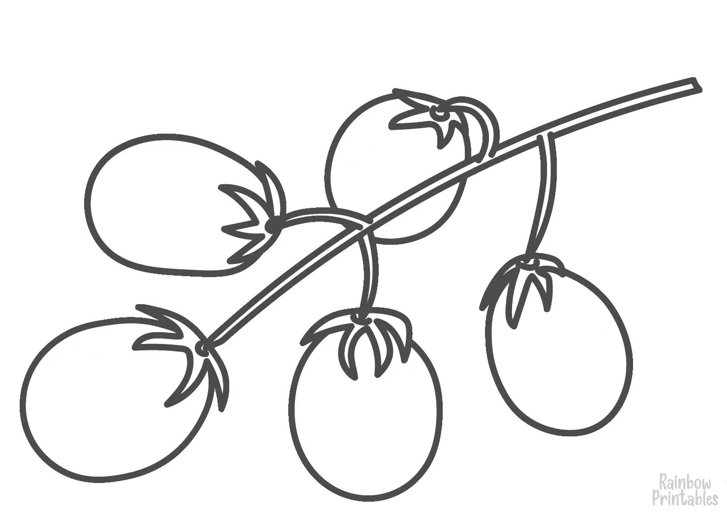 Line Drawing CHERRY TOMATO Coloring Pages for Kids Art Project