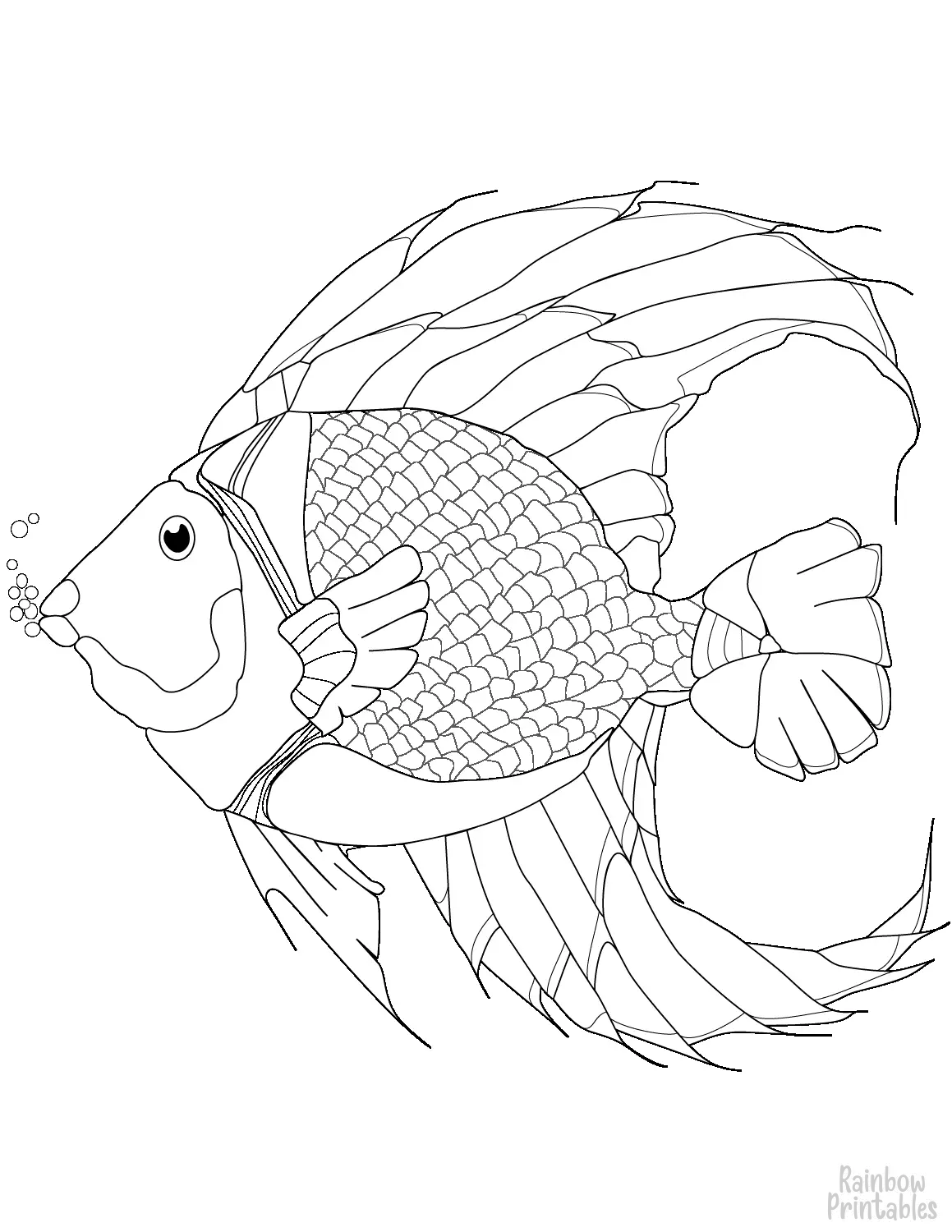 SIMPLE-EASY-line-drawings-FISH-FIN-Scales-coloring-page-for-kids