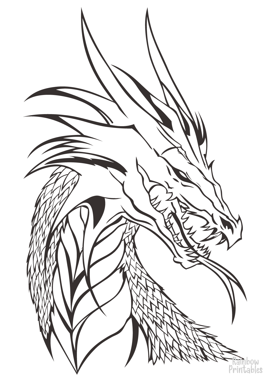 Dragon Coloring Garrymay