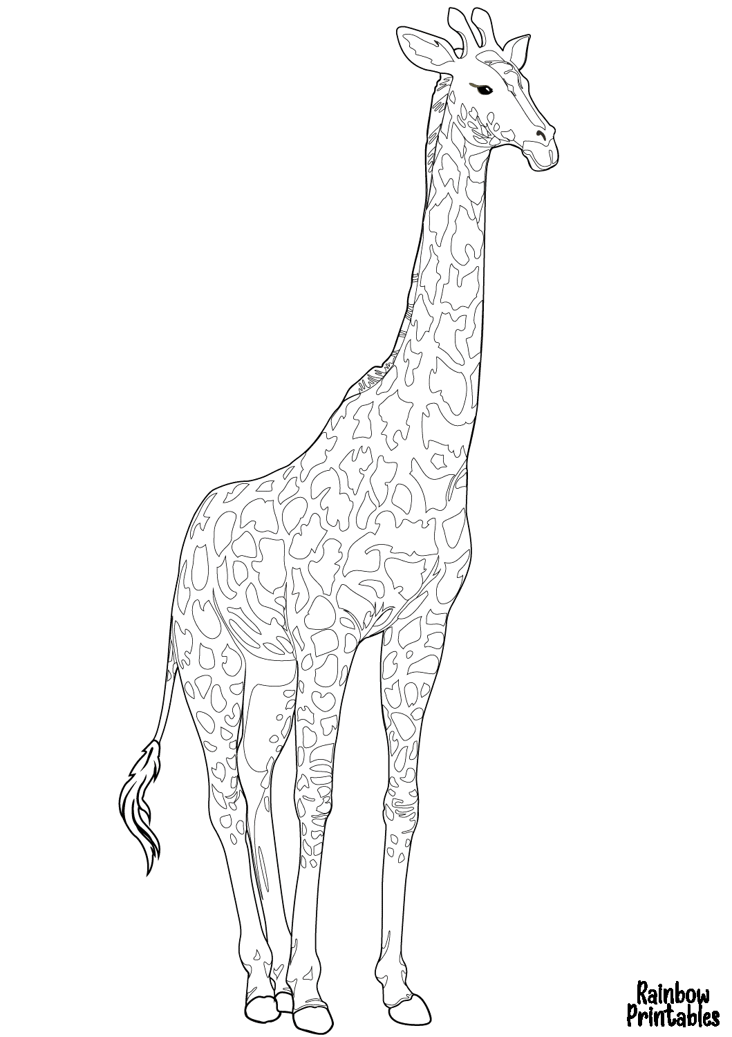 SIMPLE-EASY-line-drawings-CUTE-GIRAFFE-coloring-page-for-kids