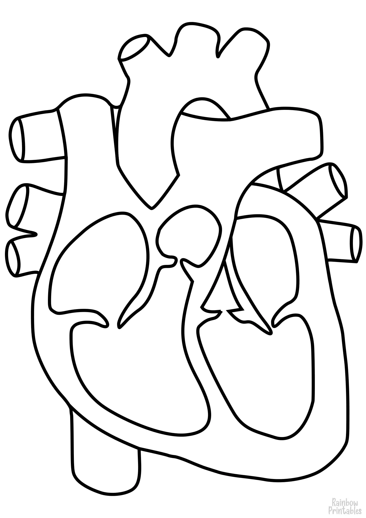 human-Drawing-HEART-coloring-page HUMAN Anatomy Health Medical Activity For Kids Freebie