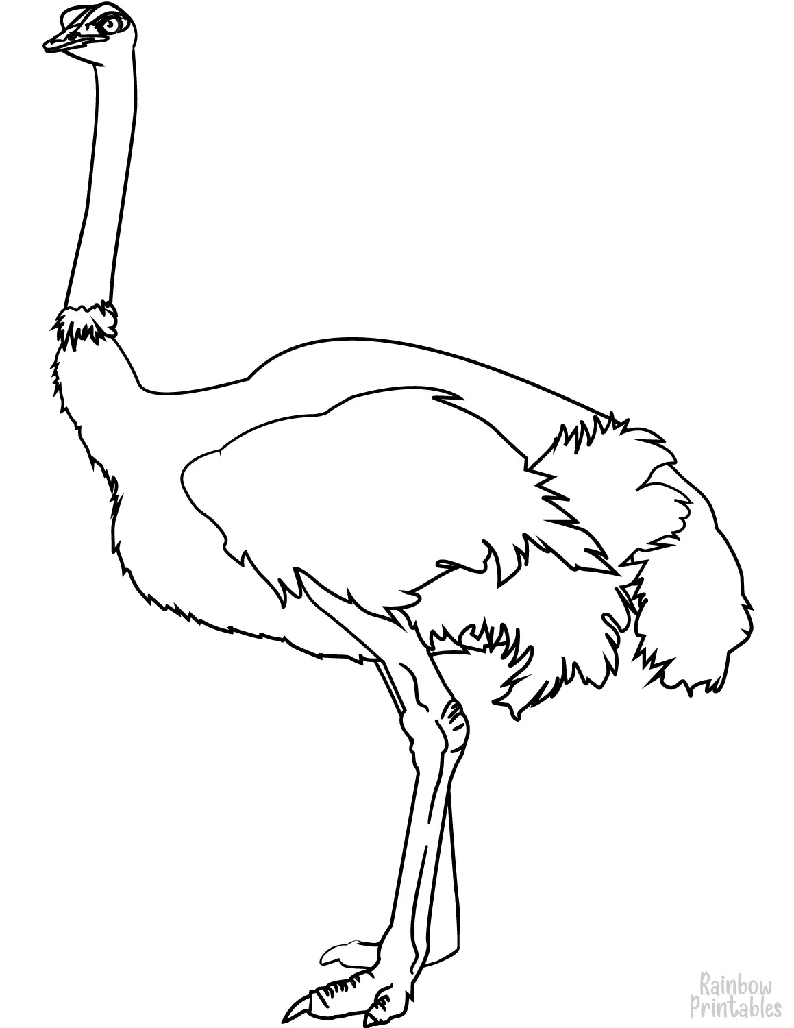 Simple Easy Ostrich Coloring Page for Kids
