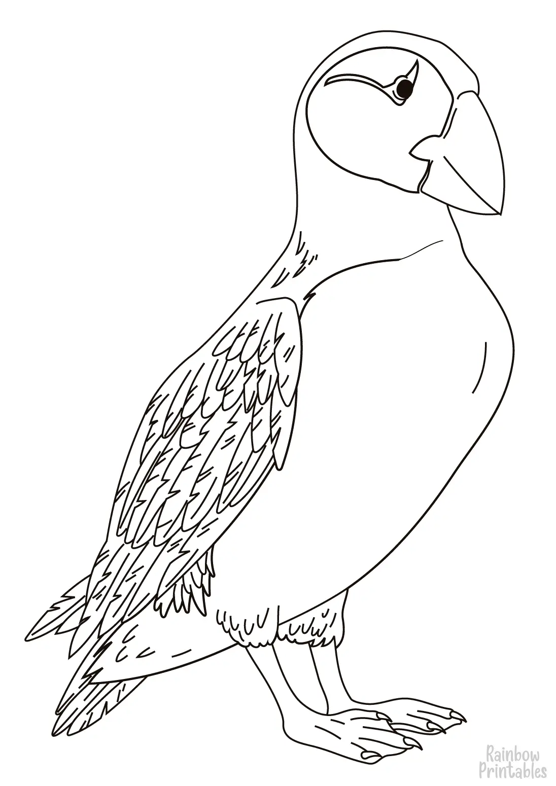 Simple Easy PUFFIN Line Drawing Coloring Page for Kids