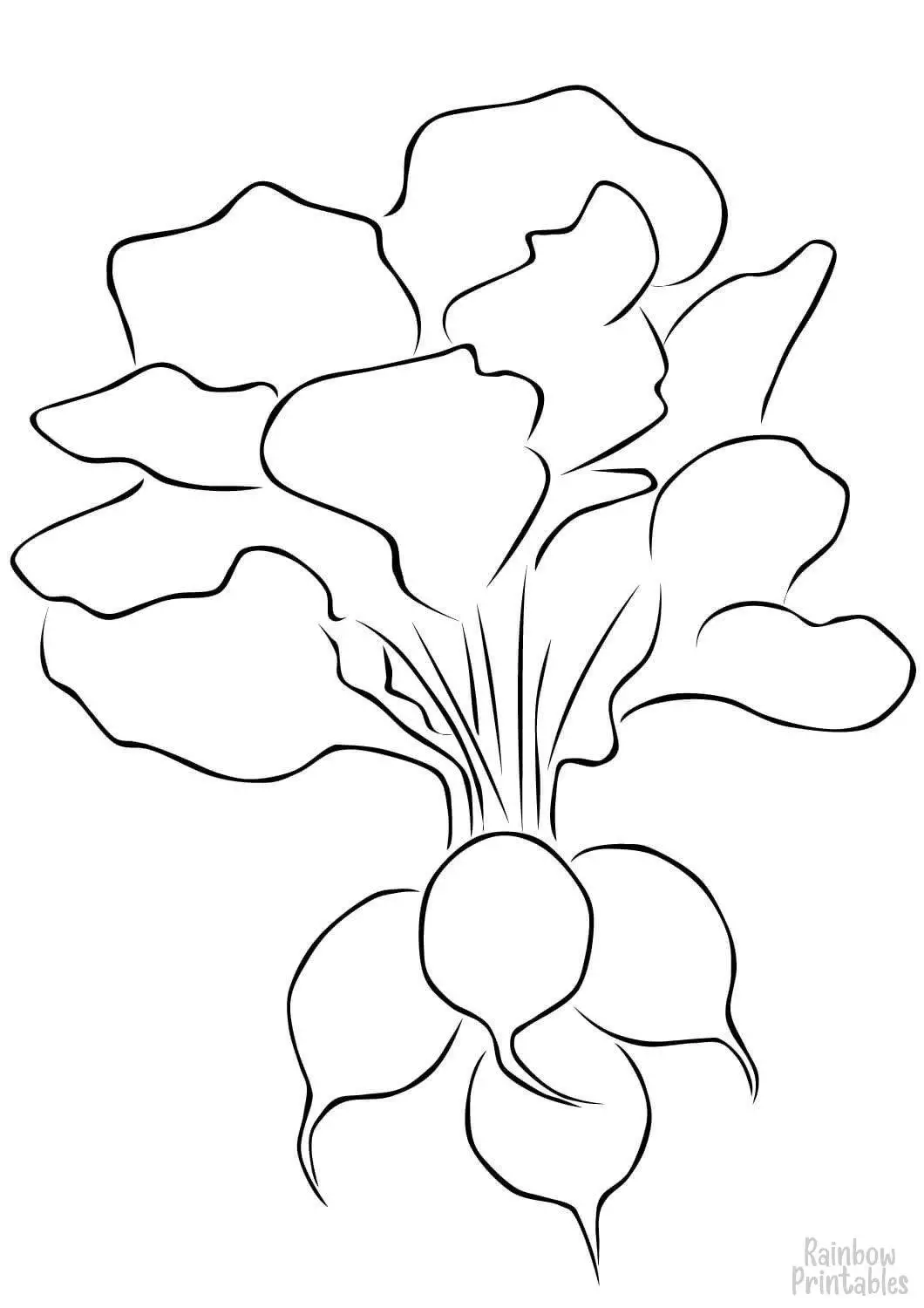 FRESH VEGETABLE RADISH Clipart Coloring Pages Line Art Drawings for Kids-01