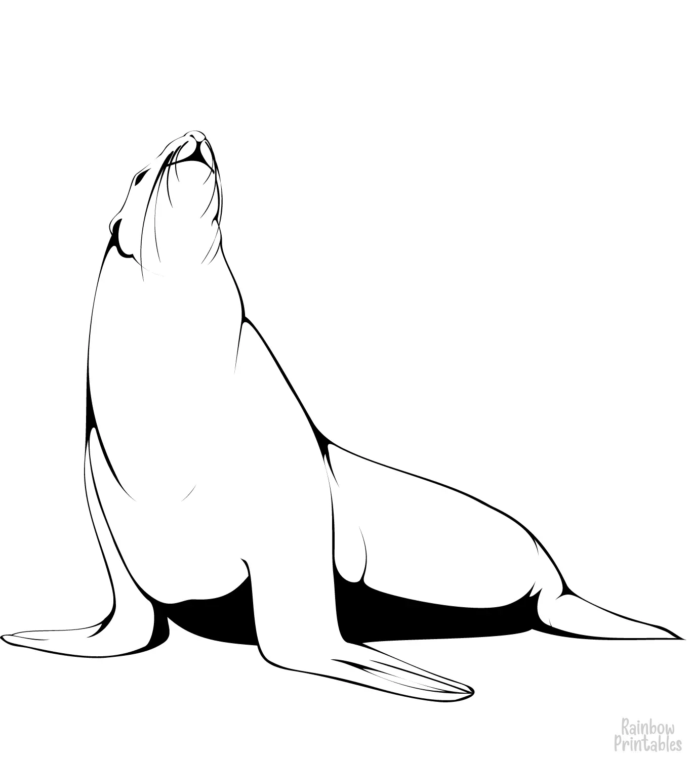 SIMPLE-EASY-line-drawings-SEAL-coloring-page-for-kids