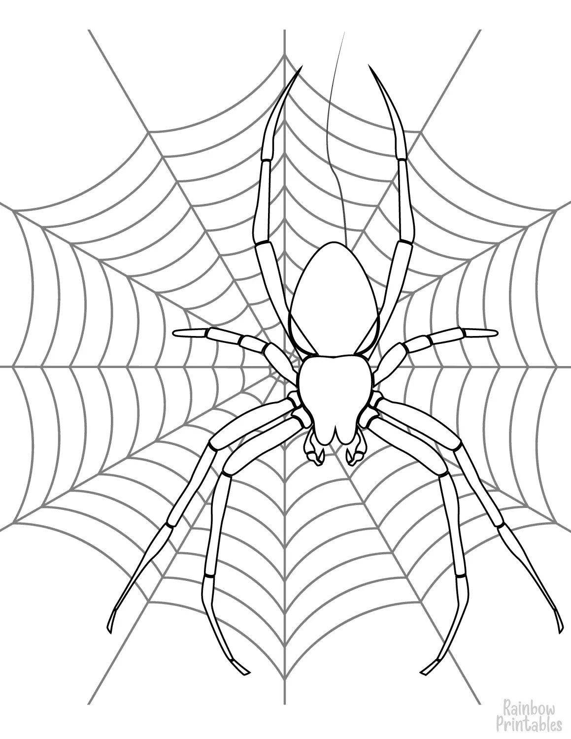 SIMPLE-EASY-line-drawings-SPIDER-WEB-coloring-page-for-kids