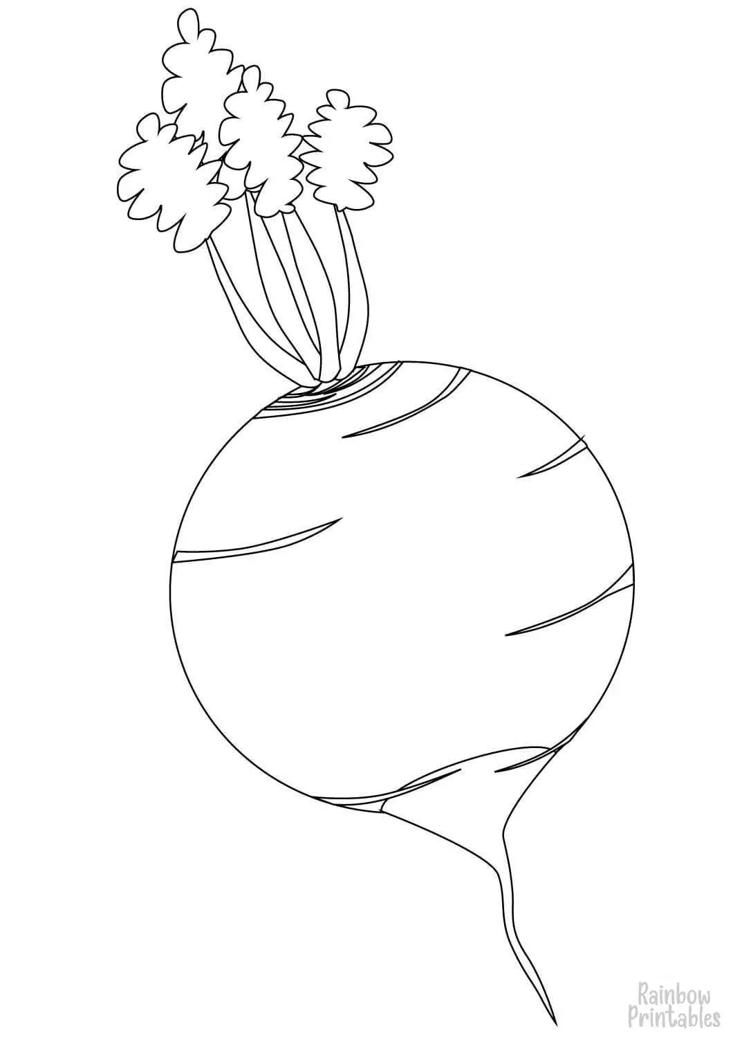 Line Drawing TURNIP Coloring Pages for Kids Art Project