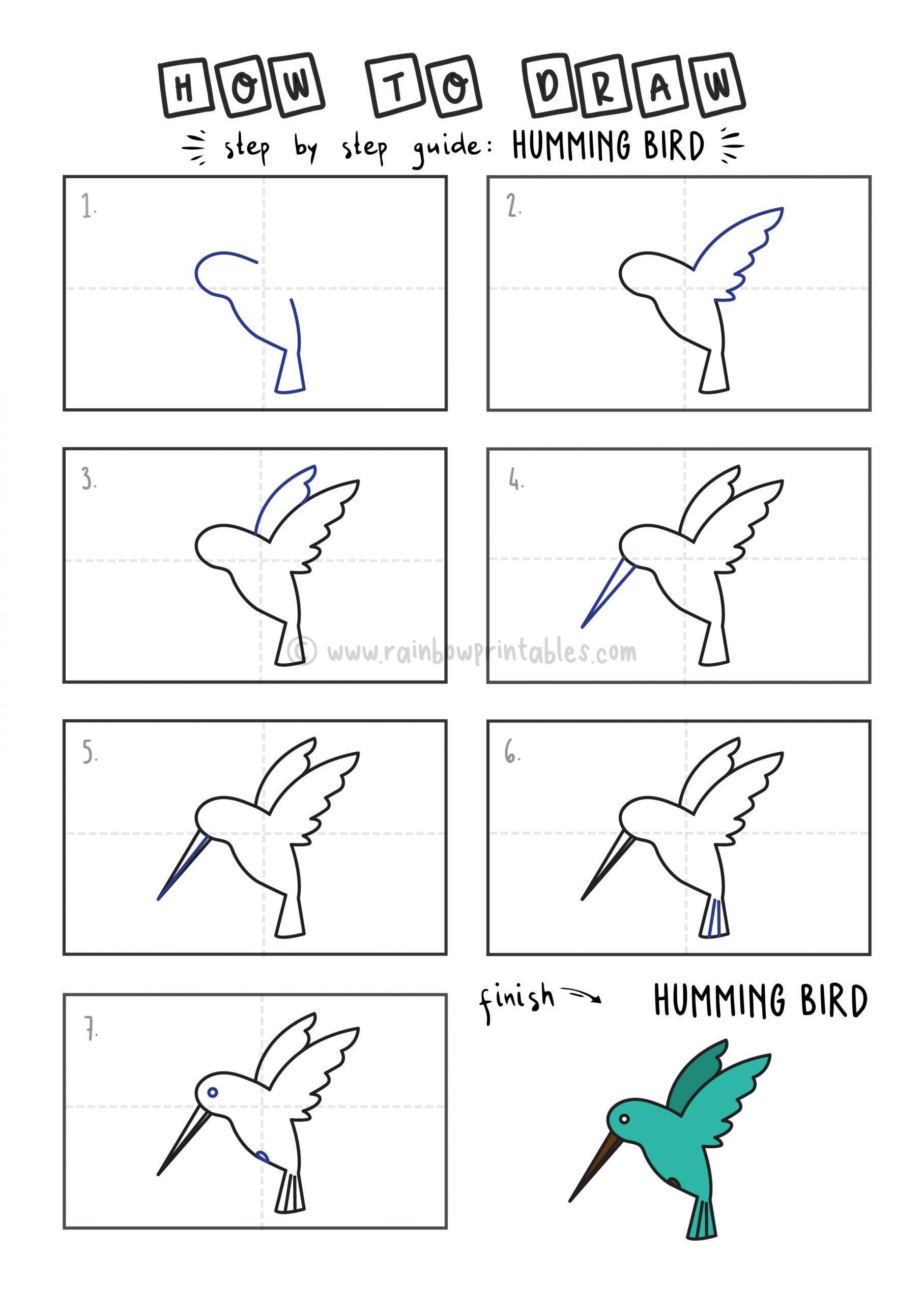 how to draw a hummingbird step by step