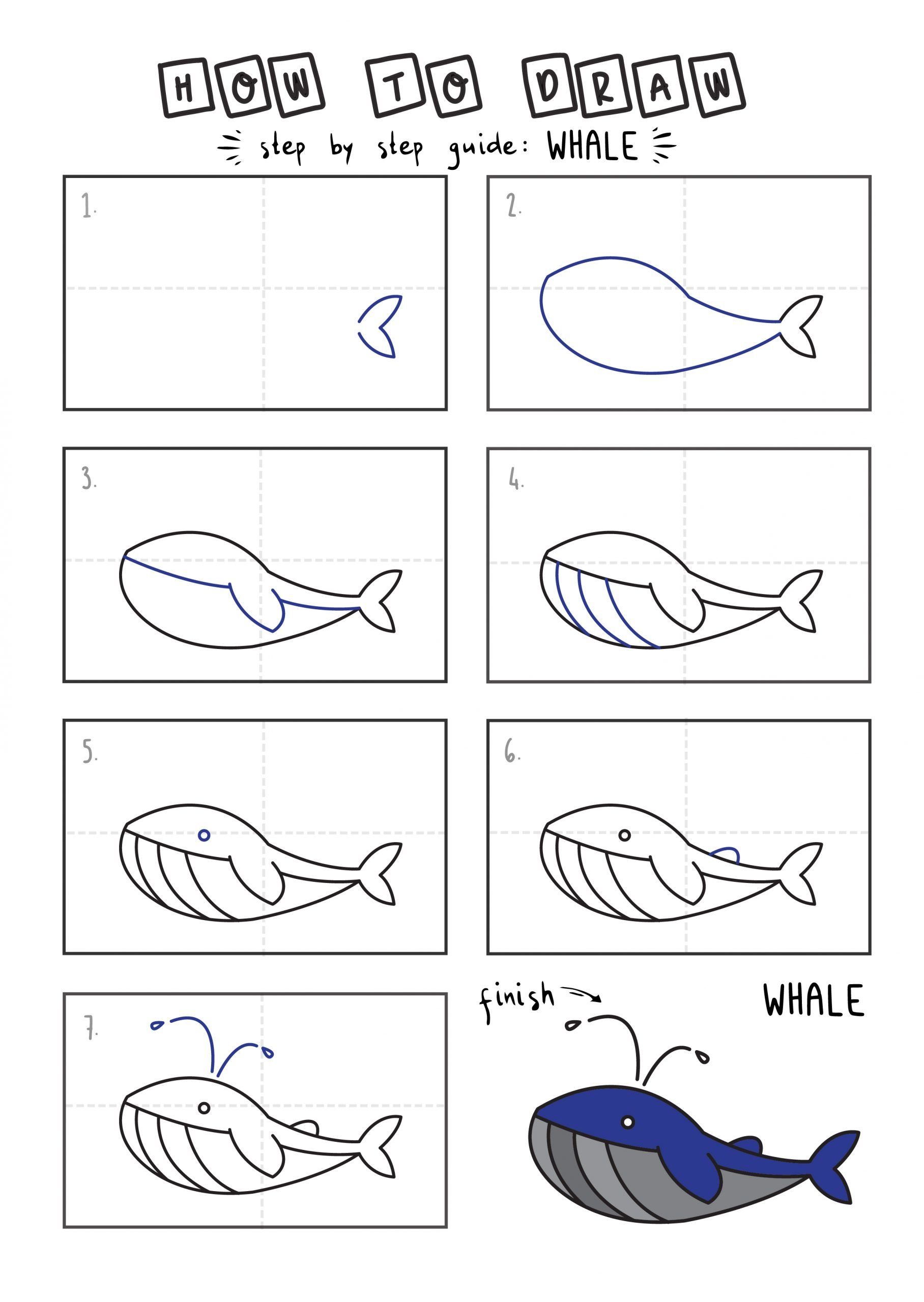 How To Draw a Big Blue Cartoon Whale + 🐳 Whale Trivia for Kids