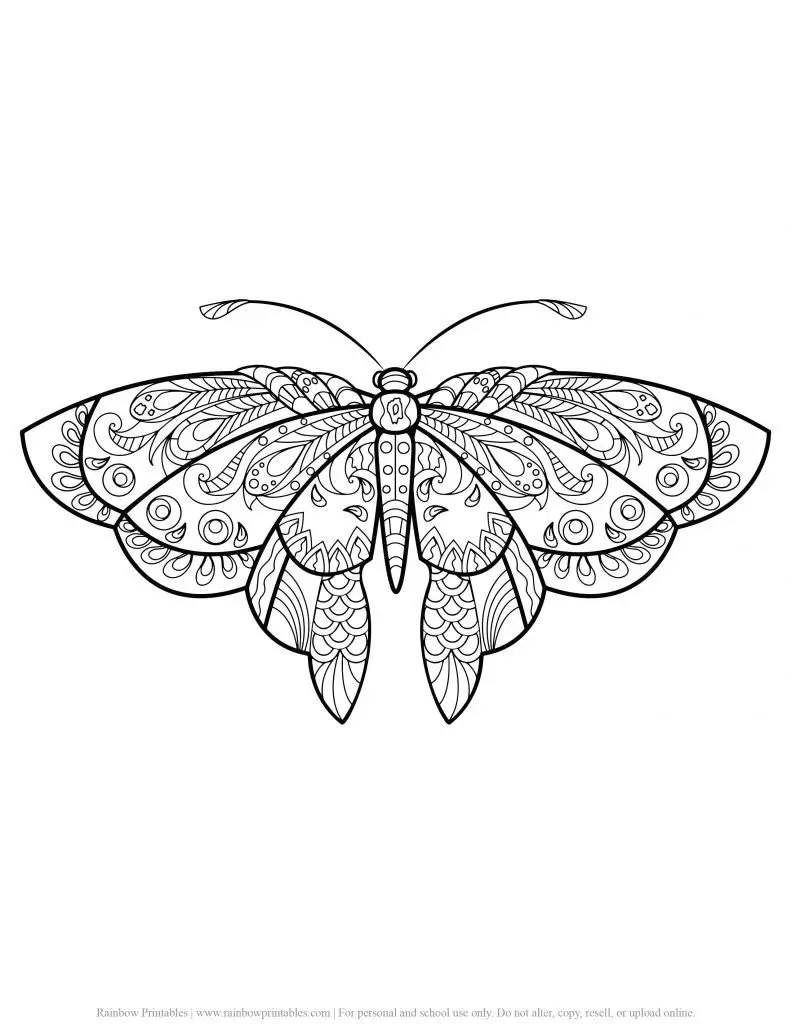 ADULT COLORING PAGES ANTI-STRESS RELIEF PRINTABLE MANDALA PATTERN GROWN UP RELAXING ACTIVITY PRINTABLE BUTTERFLY