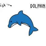 How To Draw a Cartoon Dolphin Step By Step for Young Children
