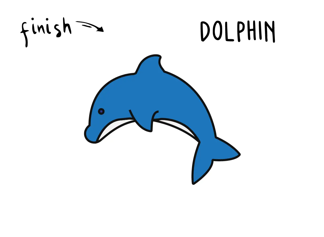 How to Draw a Dolphin | Nil Tech - shop.nil-tech