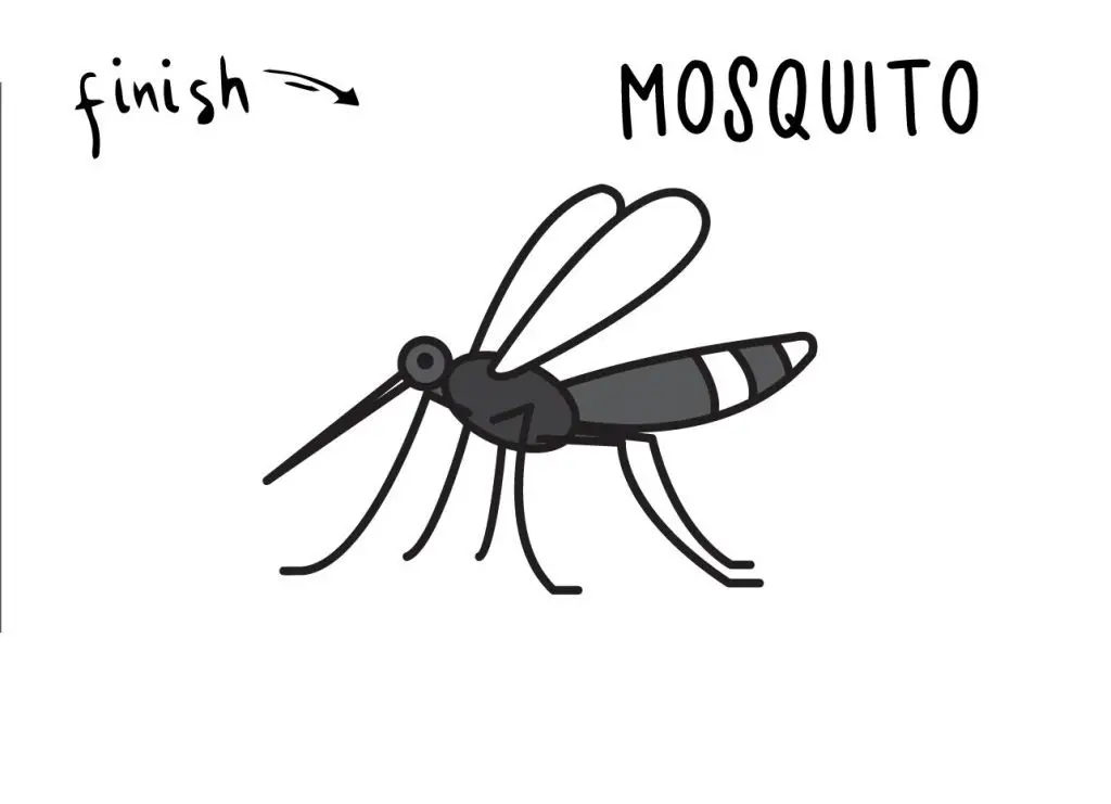 How To Draw a Mosquito Insect Pest (Step by Step Guide) Rainbow