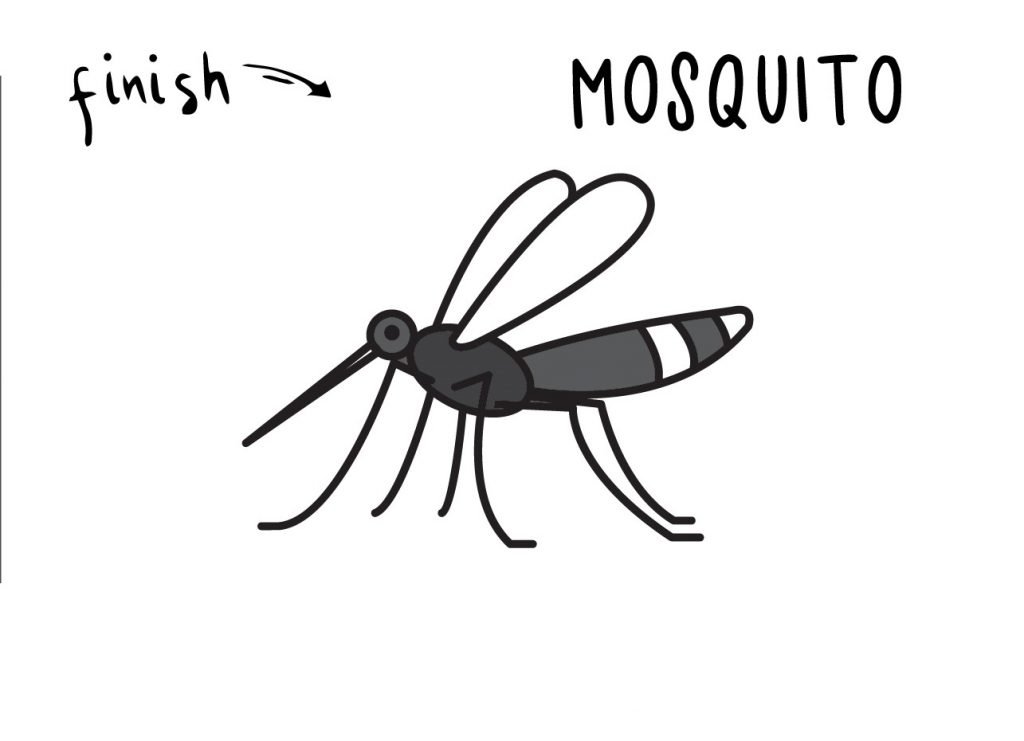 How To Draw Bug Inset Mosquito Step by Step Art Drawing Tutorial for Young Children FINAL