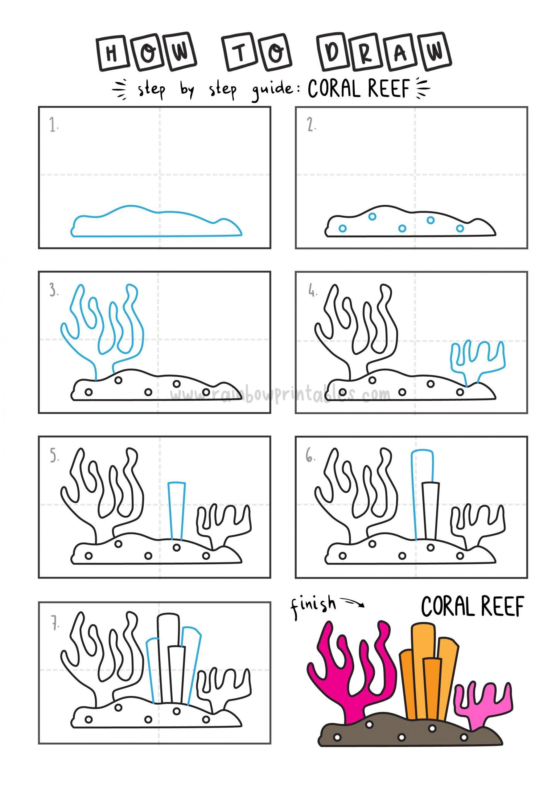 Top How To Draw Coral  The ultimate guide 