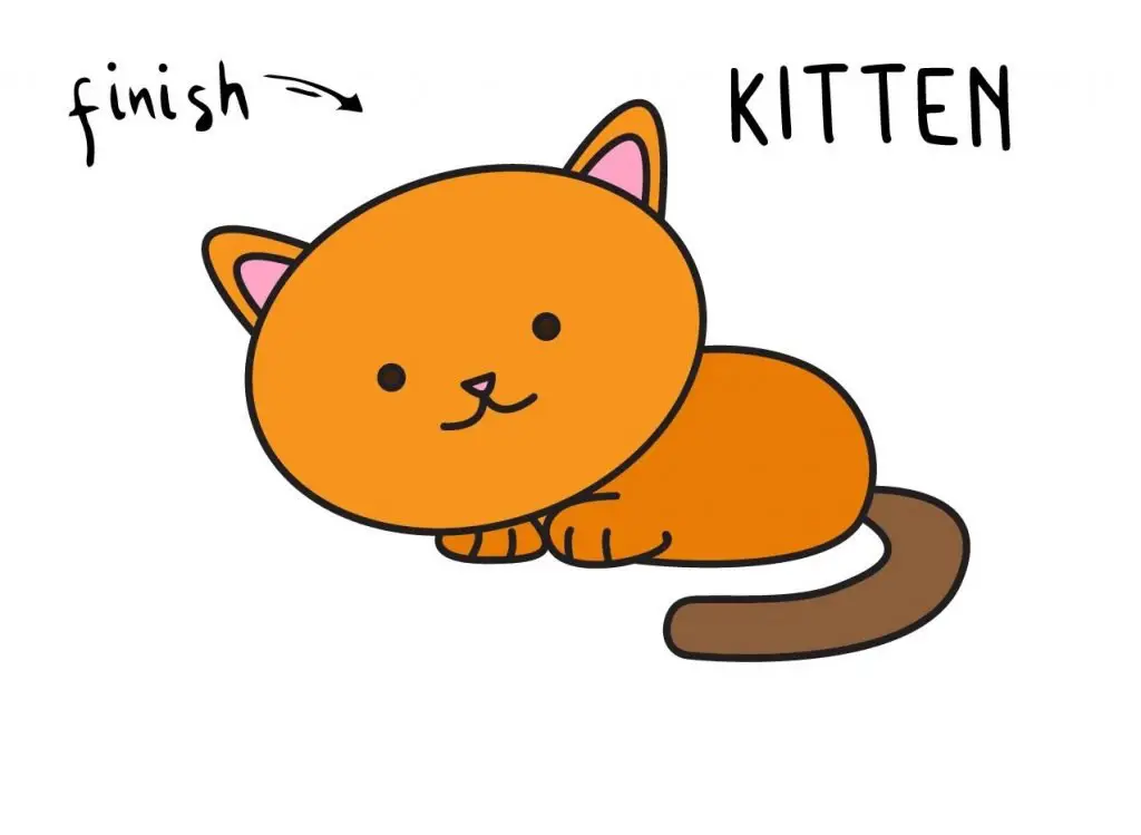 How to Draw Kitten Baby Finalized