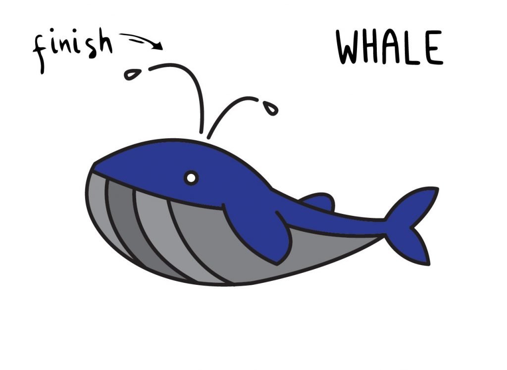 How to Draw a Whale