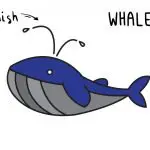 How To Draw a Big Blue Cartoon Whale + 🐳 Whale Trivia for Kids