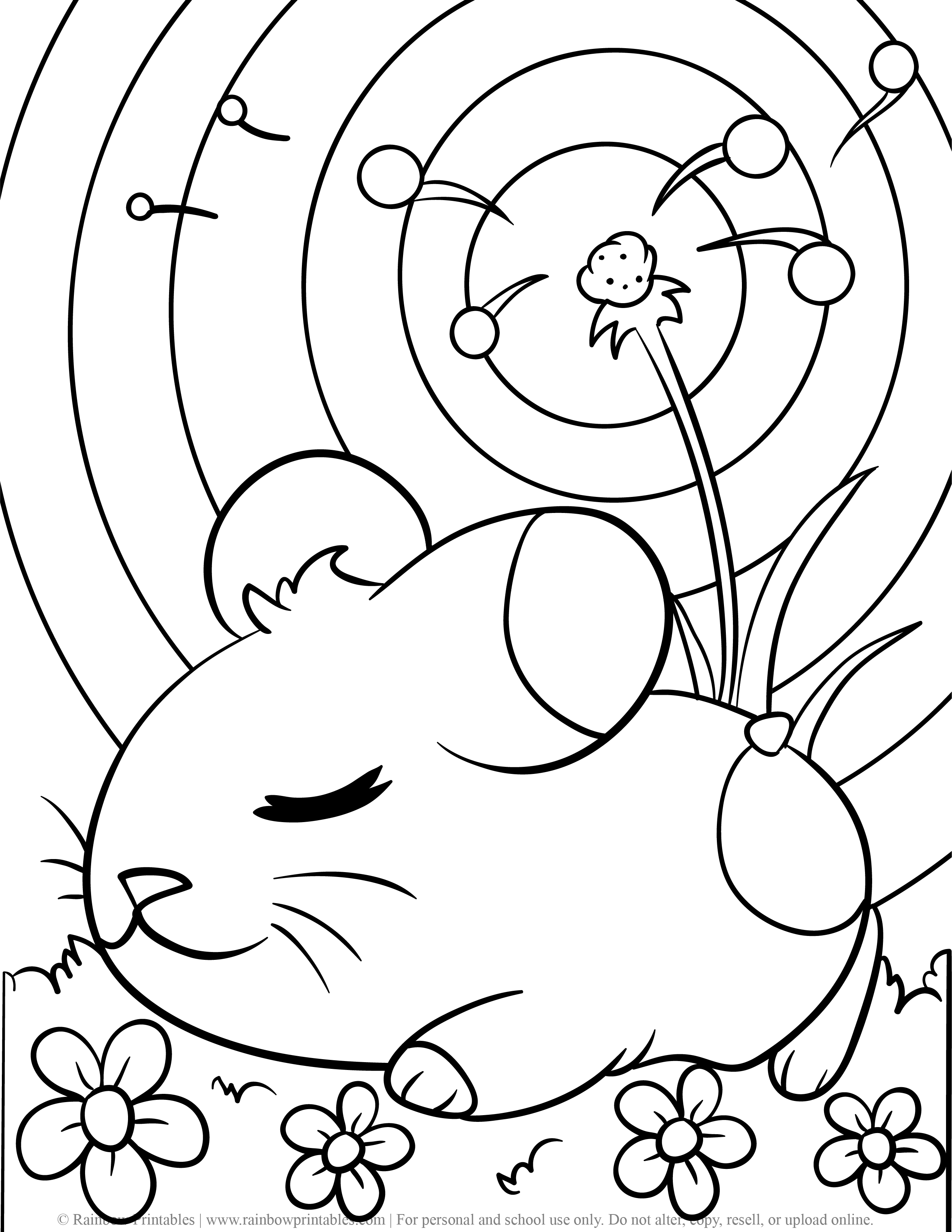 39 Best Ideas For Coloring Hamster Coloring Image 