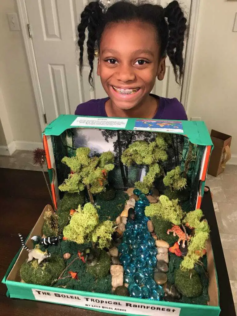 DIY Tropical Rainforest Diorama 