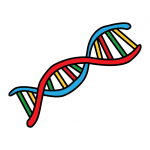 How To DNA (Deoxyribonucleic Acid) For Kids - Step By Step STEM Art Guide