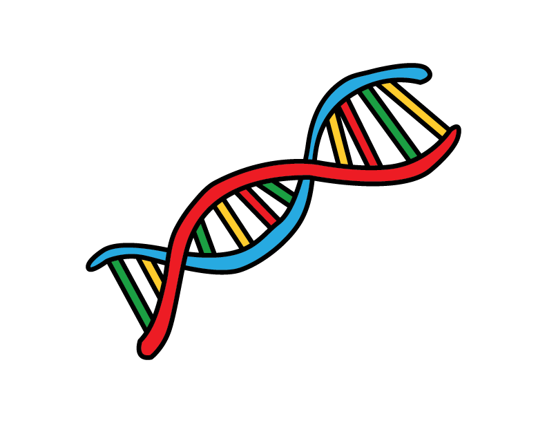 simple dna strand drawing