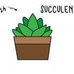 How To Draw a Succulent Plant - Easy Step By Step Drawing Guide