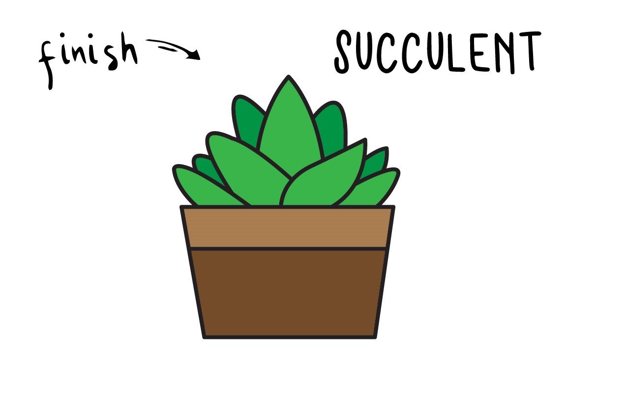 easy to draw succulents cactuslineartillustration