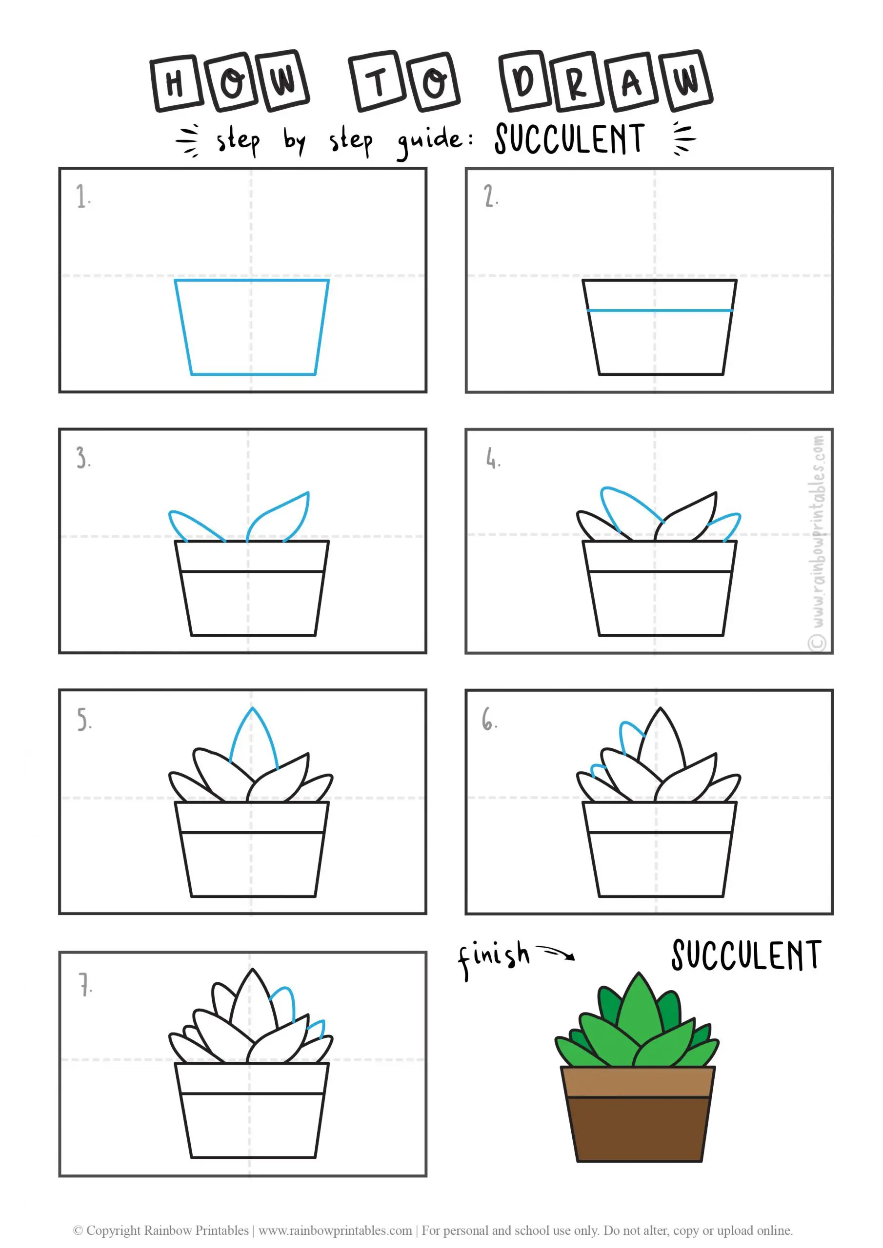 HOW TO DRAW A SUCCULENT PLANT CACTUS FLOWER GUIDE ILLUSTRATION STEP BY STEP EASY SIMPLE FOR KIDS