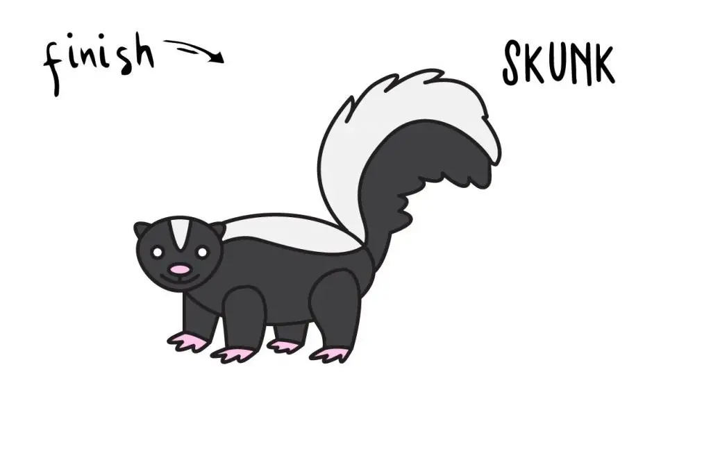 HOW TO DRAW ANIMAL SKUNK STINKY SPRAY GUIDE ILLUSTRATION STEP BY STEP EASY SIMPLE FOR KIDS