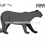 How To Draw a Puma/Mountain Lion/Cougar! Easy Cartoon Drawing Guide for Kids