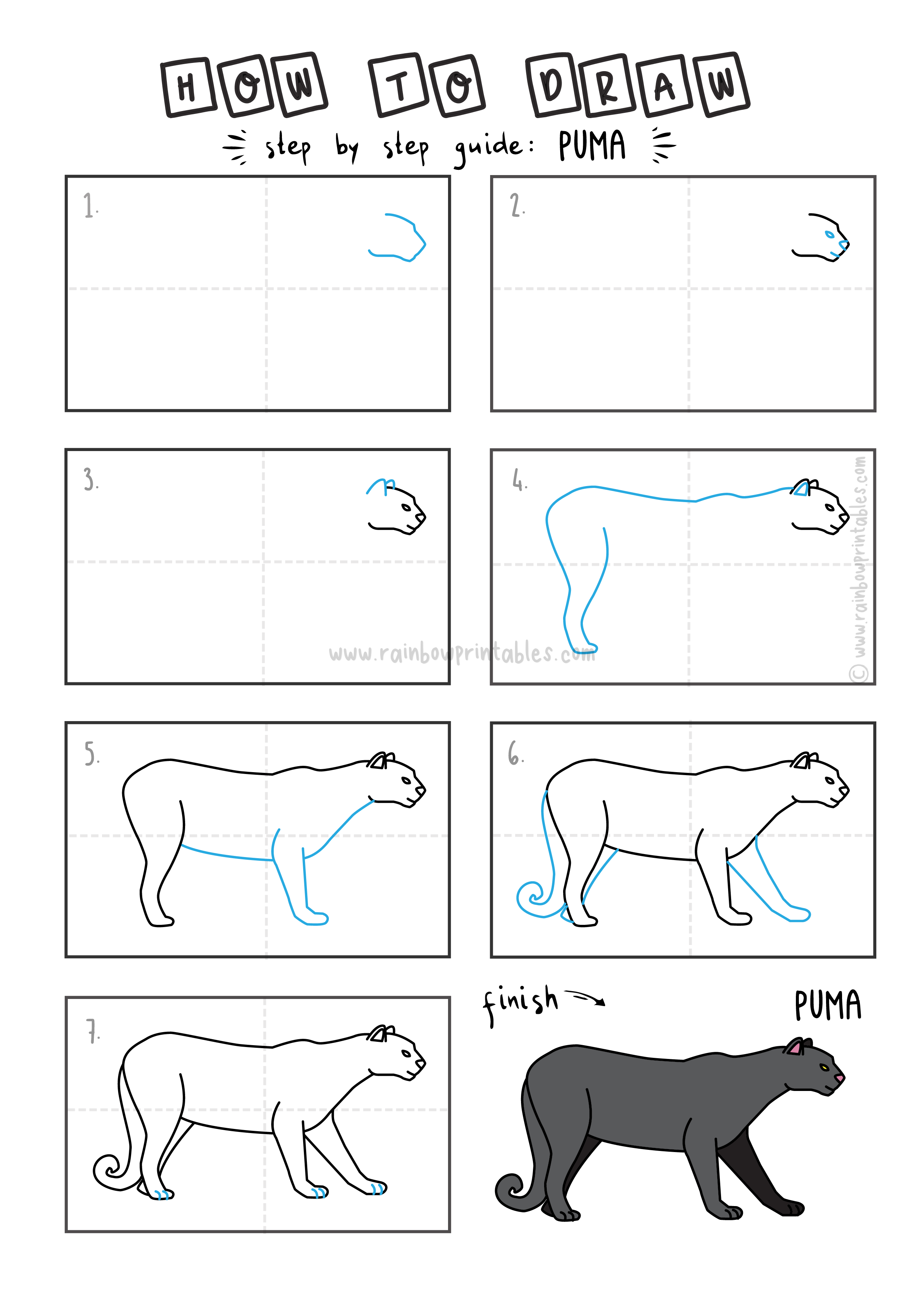 How To Draw a Puma/Mountain Lion/Cougar! Easy Cartoon Drawing Guide for