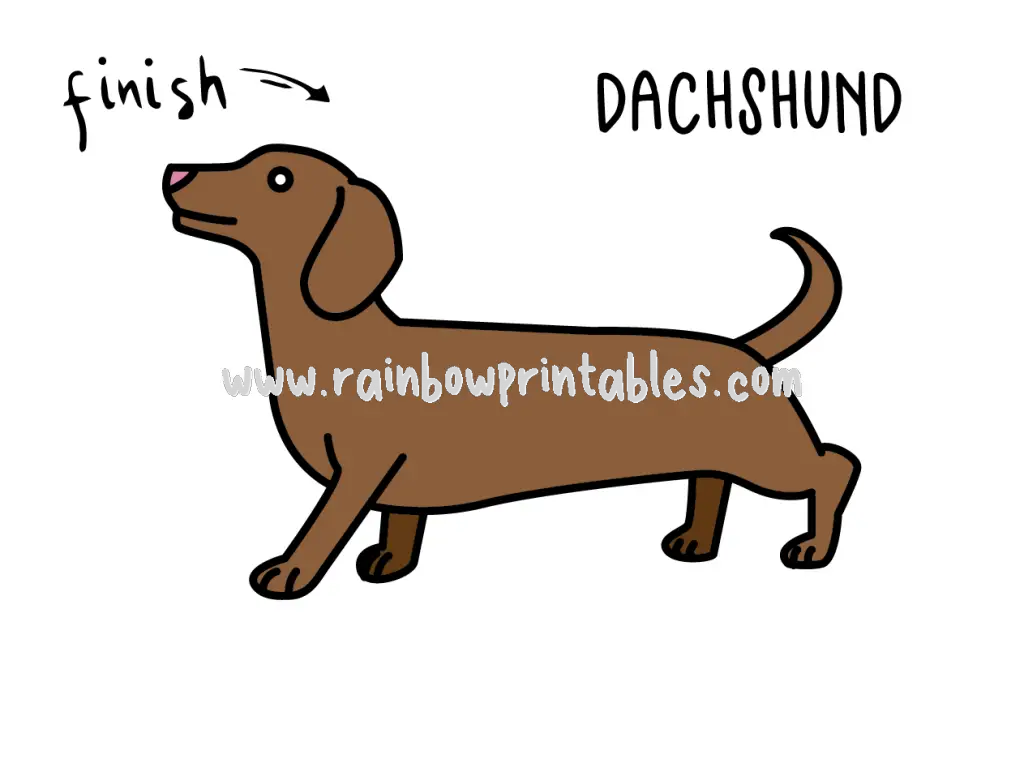 HOW TO DRAW EASY FOR KIDS STEP BY STEP DACHSHUND DOG Final