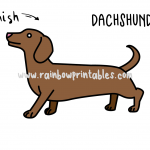 How To Draw a Cute Cartoon Dachshund (Dog) - Easy Step By Step For Kids