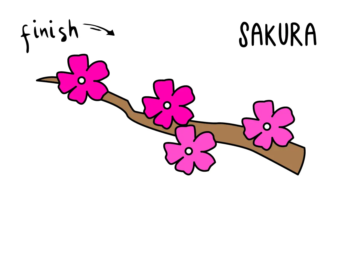 HOW TO DRAW EASY FOR KIDS STEP BY STEP SAKURA FLOWER on BRANCH JAPANESE CHERRYBLOSSOM Final