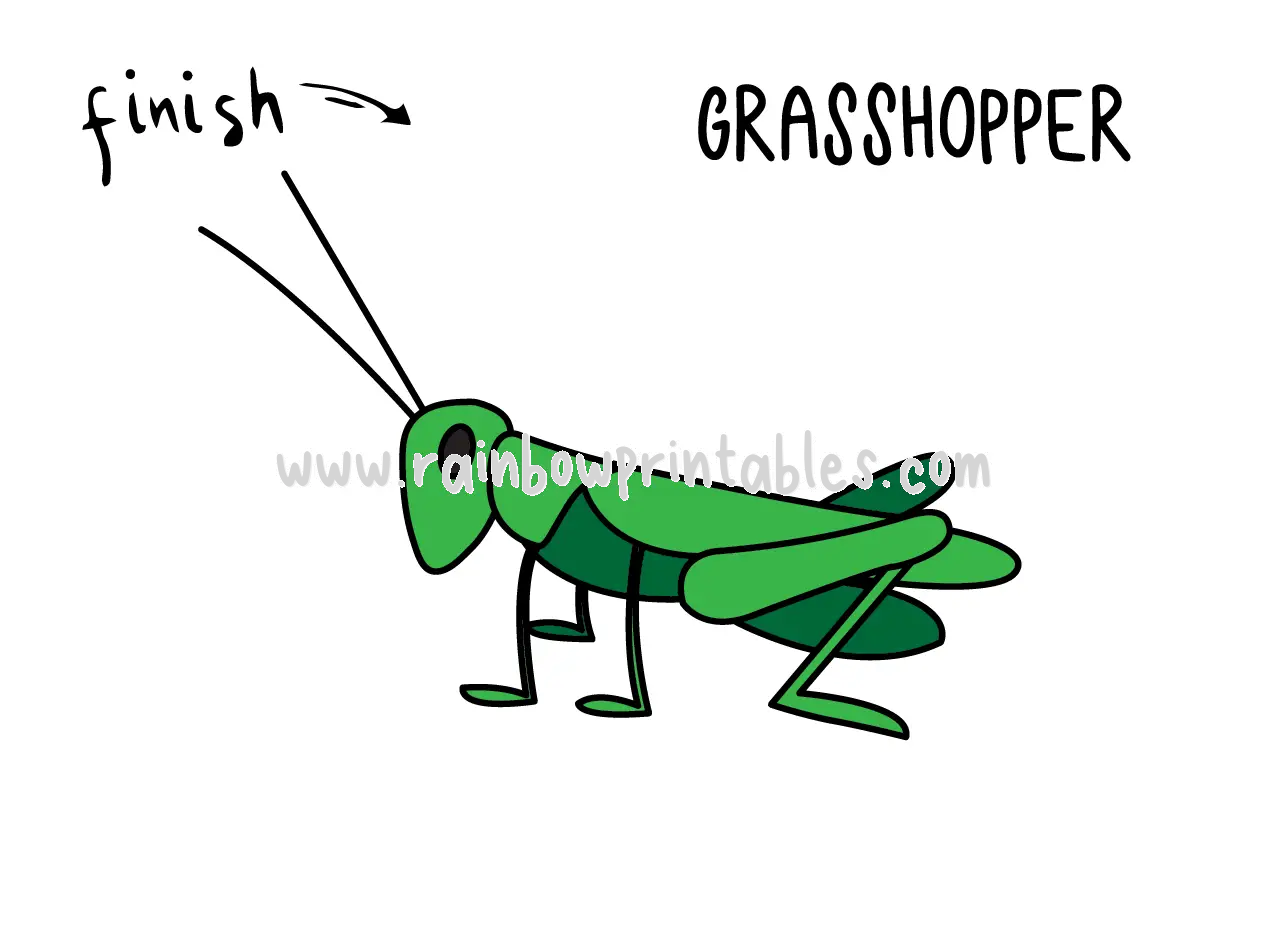 HOW TO DRAW GRASSHOPPER INSECT FOR KIDS BUG EASY STEP FINAL