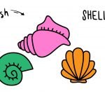 How To Draw Colorful Seashells - Easy Simple Cartoon Guide for Kids