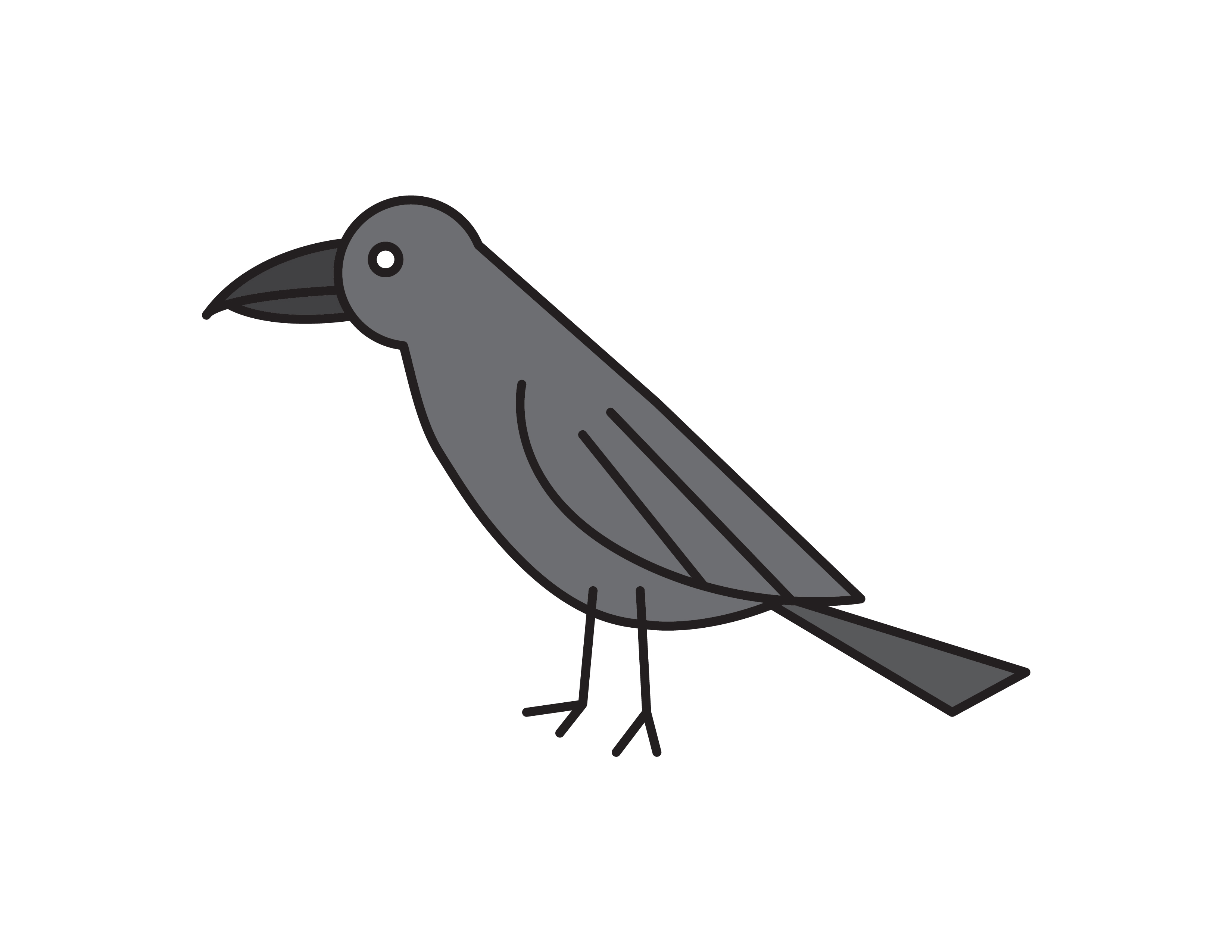 Crow coloring page for kids 26733062 Vector Art at Vecteezy