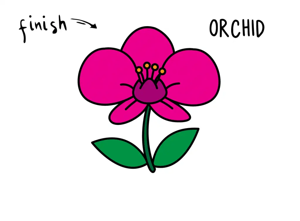 How To Draw Tutorials For Kids ORCHID FLOWER Step by step for kids easy simple guide FINAL